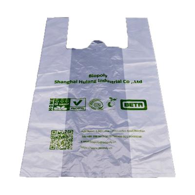 China American Style Eco Friendly Packaging Bags Compostable Shopping Bag Plastic Bag for sale