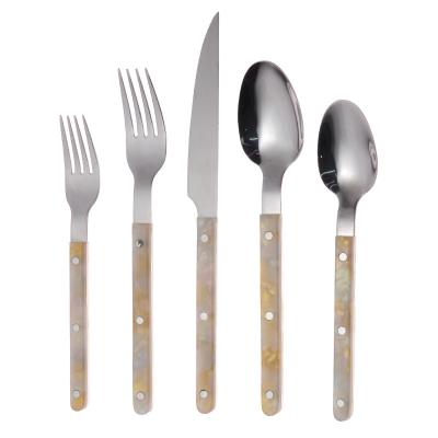 China Sustainable Stainless Steel Cutlery Set Exquisite Style Acrylic Handle 5 Piece Dinner Set for sale