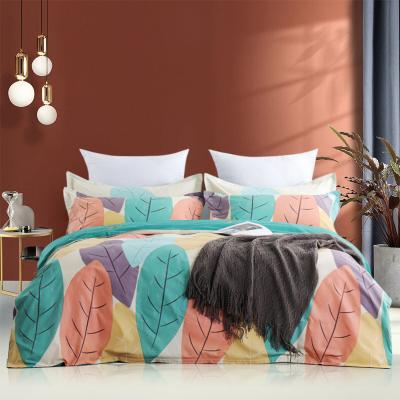 China RUIKASI RKSB-0039 Nondisposable 100% Custom Luxury Custom Design Logo Cotton King Queen 3D Printing Duvet Cover Bedding Set for sale