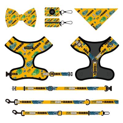 China New Pets Inventions Designer Padded Dog Leash 7pcs Set Adjustable Dog Harness Customized for sale