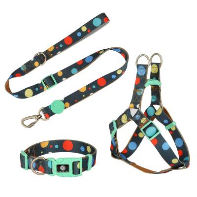 China New Pets Inventions Padded Pet Harness Set Personalized Dog Collars and Leashes Set for sale