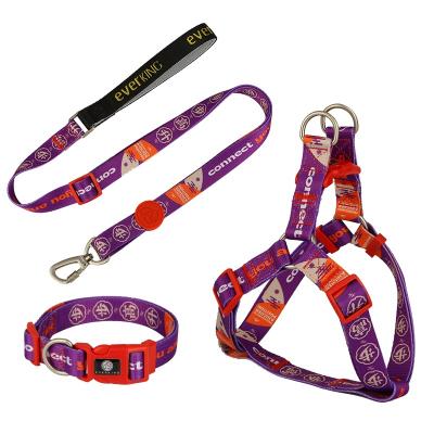 China Correas Perros De Para Dog New Fashion Padded Adjustable Dog Collar And Leash Set Harness Set for sale