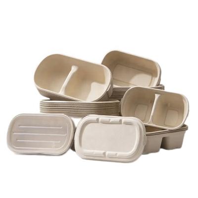 China Bio-degradable Sugarcane Fiber Biodegradable take away food containers with lids meal prep food storage deli container Microwave&Freezer Safe for sale