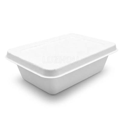 China Bio-degradable Sugarcane Fiber Biodegradable take away food container meal prep food storage deli container Eco-friendly Microwave Freezer Safe for sale