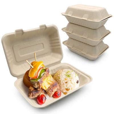 China Bio-degradable Sugarcane Bagasse Clamshell Take Out Food Container 9 x 6 1-Compartment Disposable To Go Container Box for Lunch Dinner for sale