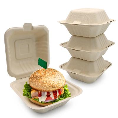 China Bio-degradable Compostable Bagasse Fiber Square Hinged Clamshell Food Containers 6x6 Disposable burger box for Takeout Parties Restaurants for sale