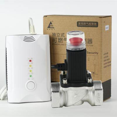 China Household Natural gas alarm for butane and propane with metal frame with shut off valve for sale