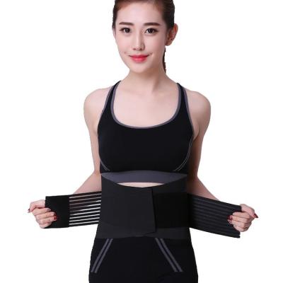 China Silk Lumbar Waist Trimmer Waist Trimmer Back Brace Wholesale Thin Body Back Body Fish Belt for sale