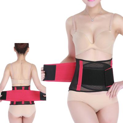 China Comfortable breathable waist wraps summer back support with mesh fabric and ABS stays for sale