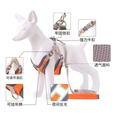 China Personalized Dog Harness Leash Leash Dog Chain for sale