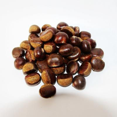 China Organic Snack Dry Peeled Roasted Chestnut Kernels for sale