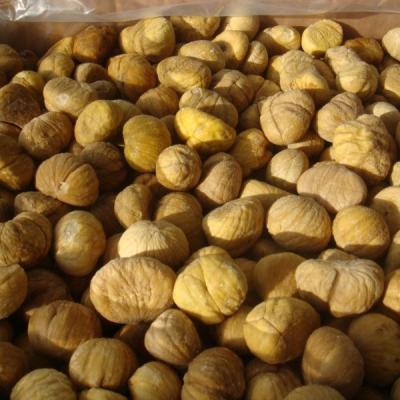 China Frozen Peeled Roasted Chestnut FROZEN for sale