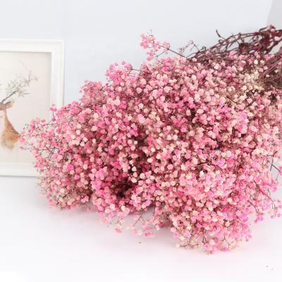 China Best Gift For Breath Preserved Gypsophila Dry Bunch One Of The Loved Everlasting Colorful Artificial Flower Baby For Valentine Wedding Mother's Day Decoration for sale