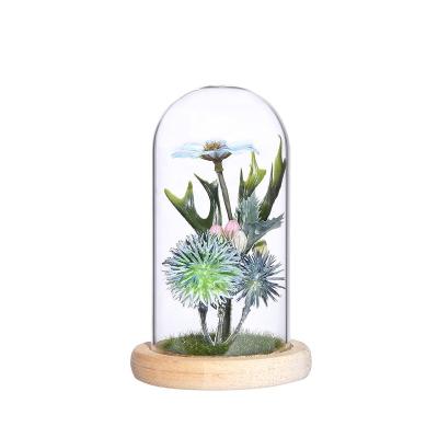 China Best Gift For One Loved One Eternal Light LED Greenery Micro Artificial Landscape Moss Flower In Glass Dome For Valentine Home Decoration Gift Box for sale