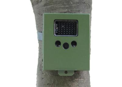 China Wildview Digital IR Hunting Trail Camera For Animal 2.5' LCD 12 Mega Pixels for sale