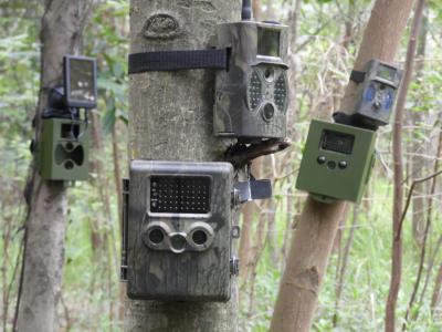 China LED Infrared CMOS Night Vision Trail Camera With Covert Trail HC300M for sale