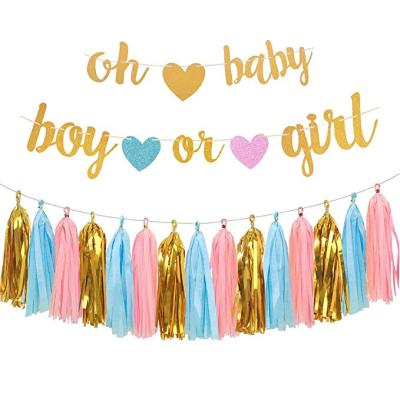 China Baby Gender Reveal Party Decoration Glitter Baby Boy or Girl Letter Banner Tassel Paper Kit OH for Baby Shower Gender Reveal Game Party Backdrop Decoration for sale