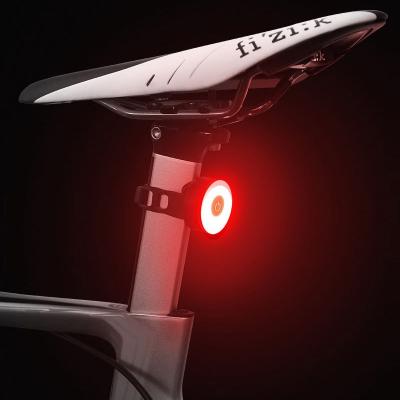 China 5 Color USB Rechargeable Bicycle Rear Light Bicycle Lamp Waterproof Bike Light 220 MAH for sale