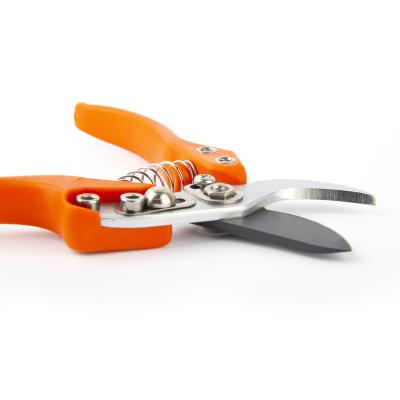 China Professional Anti-Slip Handle Ergonomic Design Bypass Handle Tree Shears Price for sale