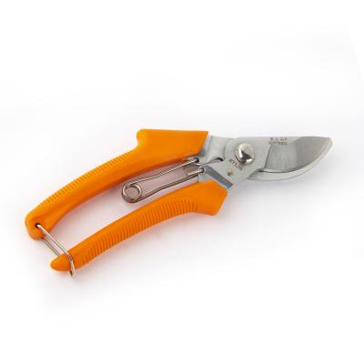 China 2022 new anti-skid handle promotion chrome plating bypass boutique fruit shears for grass for sale