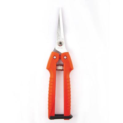 China Anti-Slip Handle Micro Tip Cut Scissors Straight Scissors Pruner Scissors Shears Garden Gardening Tool for sale