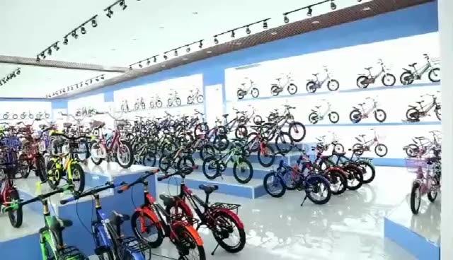 Verified China supplier - Hebei Shijia Bicycle Co., Ltd.