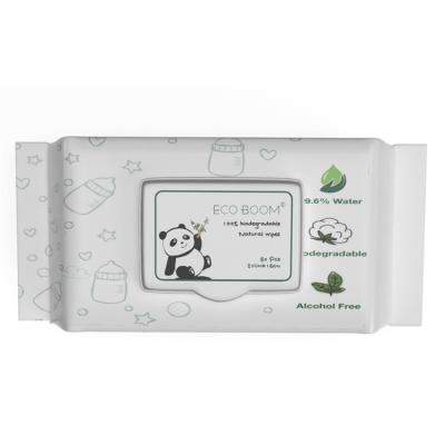 China Good Quality Care Package Simple Baby Cleaning Personal Cleaning Wet Wipes With Plastic Lip for sale