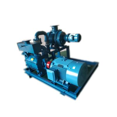 China Wholesale Zjp-300 Series Rotery Vane Root Blower Pump Vacuum From Zjp From Food And Beverage Industry China Supplier for sale