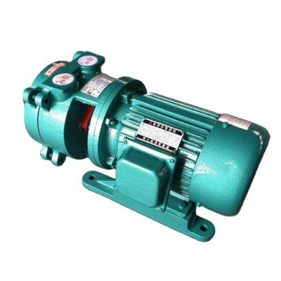 China Automotive Industry SK Series Single Stage Ring Vacuum Pump Sk-0.8 Liquid Vacuum Pump for sale