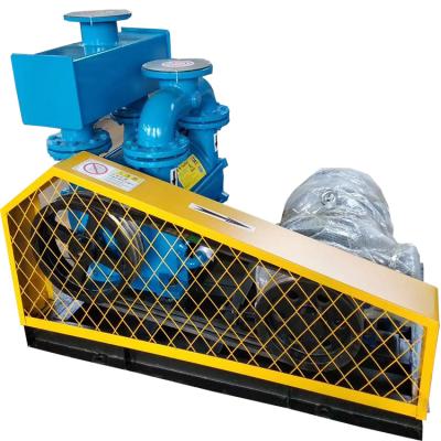 China Automotive Industry 2bec-500 Series Vacuum Compressor Pump Hot Circulation Cheap Vacuum Pump for sale