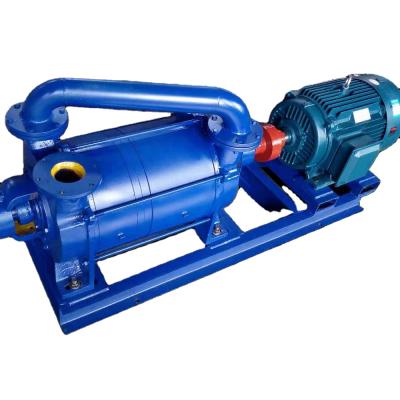 China Automotive Industry Shandong Series Industrial Liquid Cast Iron 2sk Ring Vacuum Pump for sale