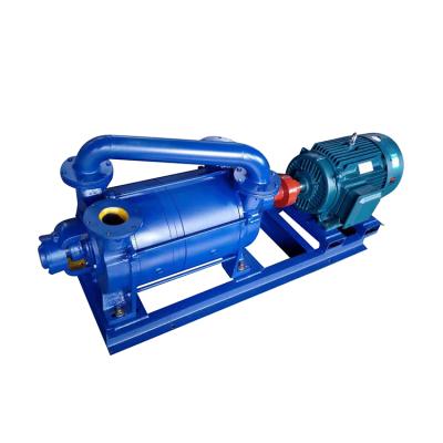 China Automotive Industry 2SK 15kw Large Capacity Electric Explosion Proof Water Ring Vacuum Pump for sale