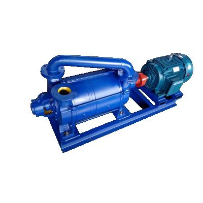 China Automotive Industry China Supplier Wholesale 2sk30 Electric Water Ring Vacuum Pump Dual Stage Vacuum Pump for sale