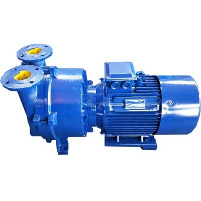 China 2BV-5161 Series Automotive Industry Liquid Ring Vacuum Pump 2BV for sale