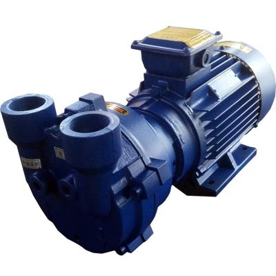 China Automotive Industry 2BV Series Liquid / Water Ring Vacuum Pump 2BV2060 Single Stage Vacuum Pump for sale