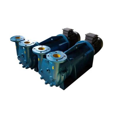 China Automotive industry best quality 2bv5131 vacuum pump high quality circulating water industrial vacuum pump for sale