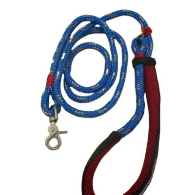 China Factory price reflective colorful dog leash in 32/48 braided structure for pets for sale