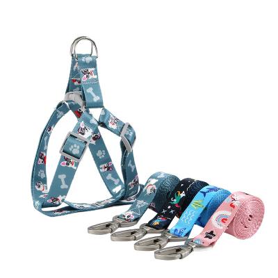 China 2022 Manufacturers Custom Custom Pink Design Printed Personalized Dog Harness and Puppy Leash Set for sale