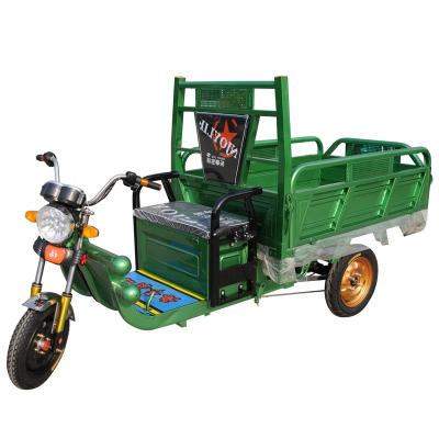 China Cargo Transportation Ssed Van 60V 1000W Electric Cargo Tricycles Three Wheel Widely Motorized For Sale for sale