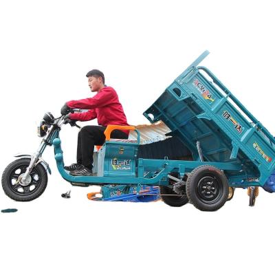 China Cargo Adults 3 Three Wheels 60v800w Electric Cargo Tricycle From China 2020 for sale