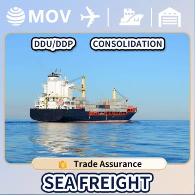 China Cargo Rate Shipping Shipping Agent Sea Freight Rate From China To USA UAE Door To Door Ddp Forwarder Container Sea for sale