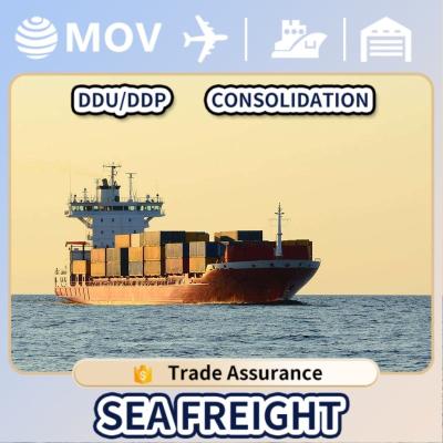 China Cheapest service companies international fast sea shipping sea shipping service from China door to door worldwide for sale