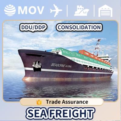 China Shipping Forwarder China To Sea Shipping Agent Amazon FBA Freight Forwarder DDP China To Australia Dubai/UAE Door To Door for sale