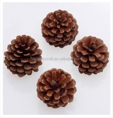 China Different styles are available for Real Pine Cone Christmas Tree Hanging Pine Cone Tree Natural Natural Wooden Tree Decoration for sale