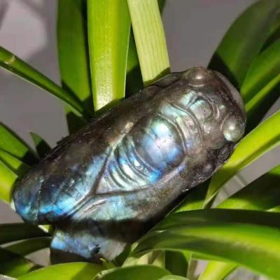 China China Hand Carved Natural Blue Instant Labradorite Crystal Cicada Animal Carving for sale