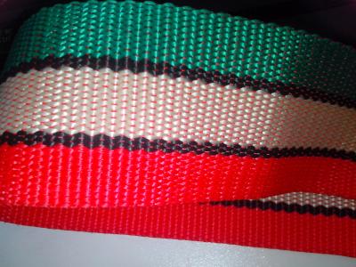 China Three Color Webbing Lashing Strap for sale