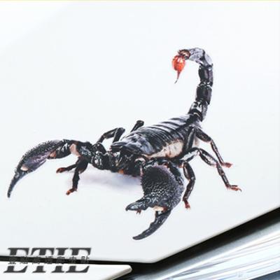 China Waterproof Realistic Scorpion 3D Lizard Spider Sticker Wrap Accessories Decoration Car ETIE Transparent PVC Stickers for sale