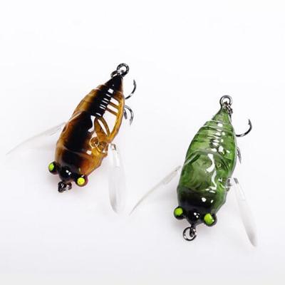 China ABS Plastic Water Freshwater 5 Colors 5cm Top Insect 6g Hard Cicada Fishing Lure for sale