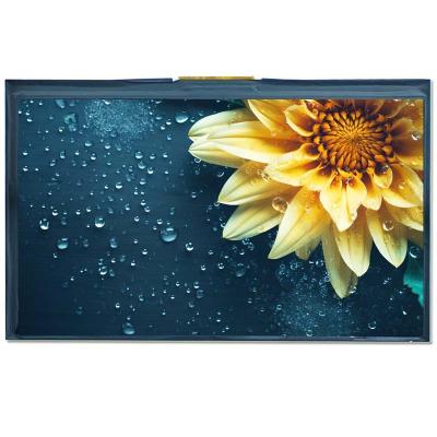 China Medizinische 7-Zoll-LCD-Display-Panel IPS LVDS Schnittstelle Helligkeit 650 Nits zu verkaufen