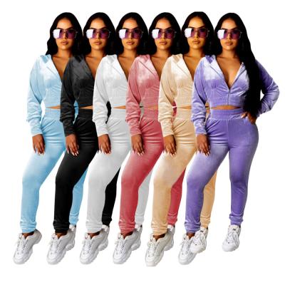 China 2021 Plus Size Women Fall Clothing Fashionable Plus Size Cotton Tracker Two Piece Sets Hoodie Teams Tracksuits Sheer Zipper 2 Piece Pants Sets for sale